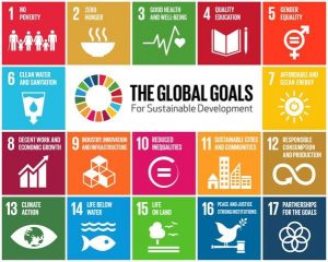 SDGs