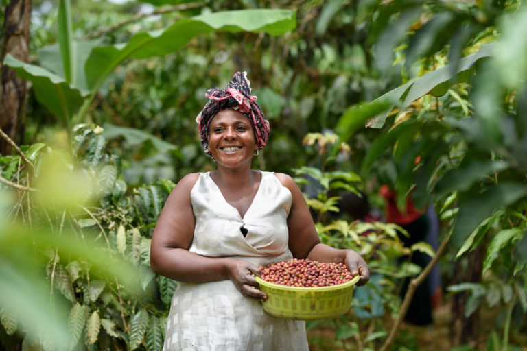 Uganda Female Coffee Farmers Start to Reap the Rewards of Their Hard